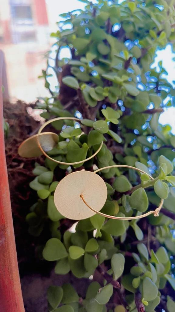 Silver gold plated disc earrings
Hammered discs